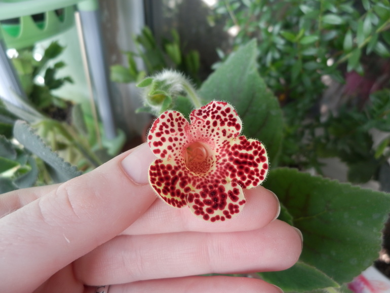 Итоги лета. Некоторые из моих любимчиков.