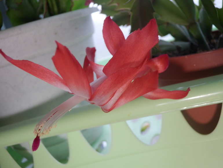 Немного осеннего.