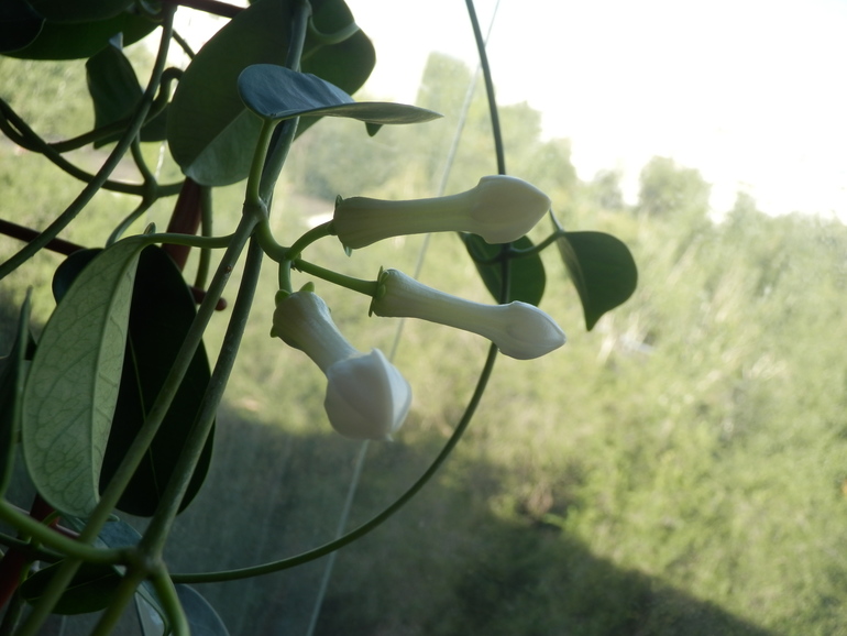 Итоги лета. Некоторые из моих любимчиков.