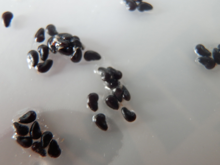 Немного осеннего.