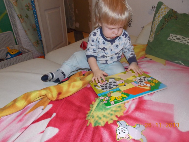 Наша первая Тематическая неделя "Домашние животные" (часть 1)