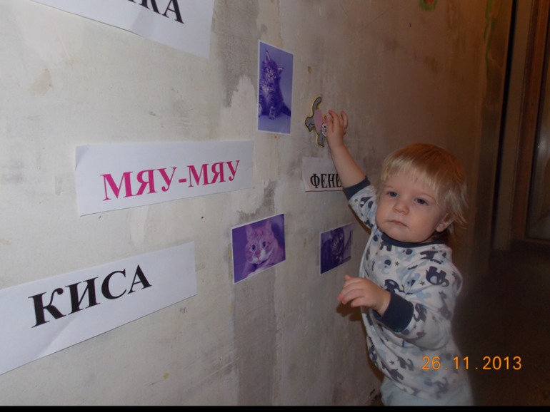 Наша первая Тематическая неделя "Домашние животные" (часть 1)