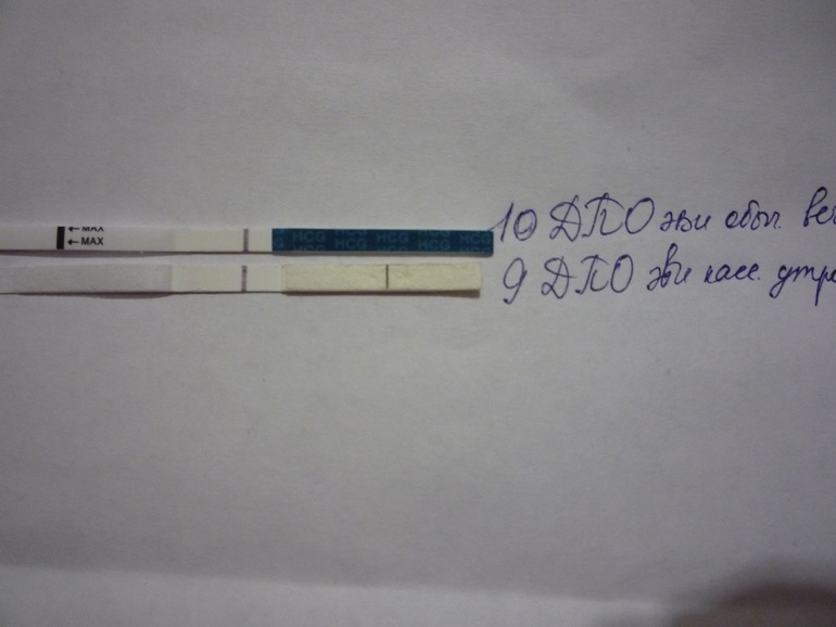 Как-то не спокойно на душе! Верить?