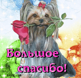 067fec4be04fcb11ed68e79d778b0c80.gif