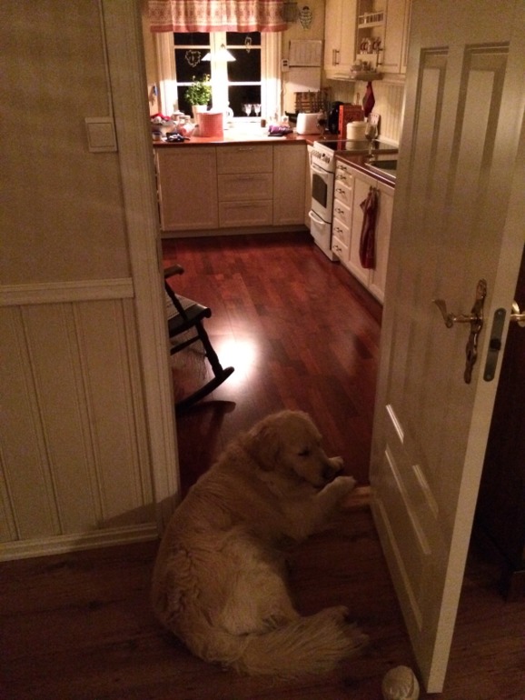 Добро пожаловать к моим норвежским родственникам.