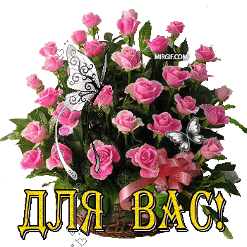 cdbb86dcf312a0a6449acc6f8ac859f3.gif