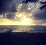 Кофейный снеговик и елочка в дет.сад