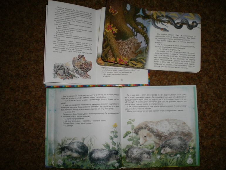 Осенние ежики