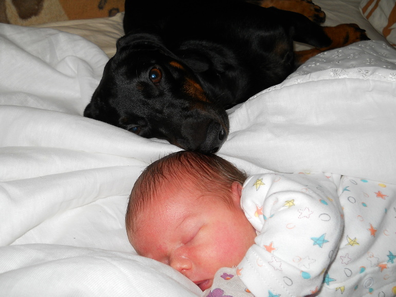 Макс и Настенька