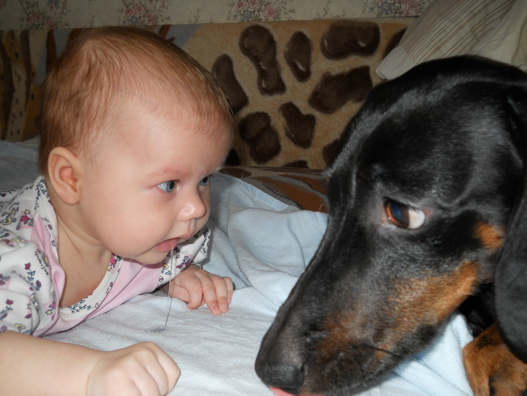 Макс и Настенька