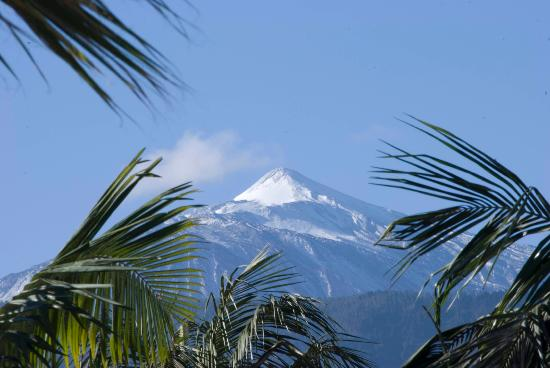 ИСПАНИЯ. о. Тенерифе. La Carabela Apartments 3*