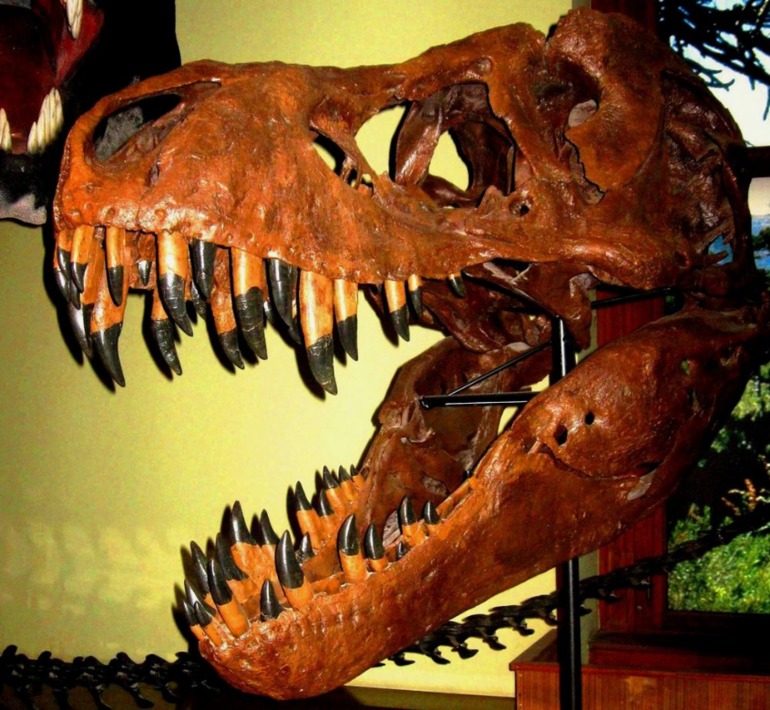 Чем заняться с детьми в Вене?