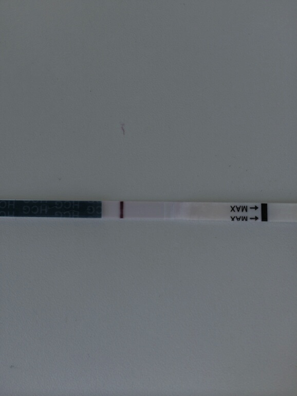 c6d598c4416242a1e4d8a458fb722c10.jpg