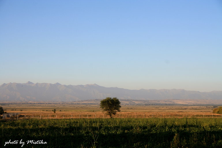 приветик девочки