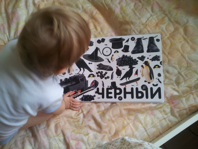 Купила на днях для мелкой пару книжек. Она писщит от удовольствия!!!