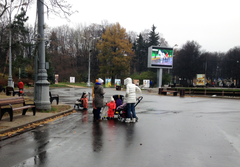 Коляски Bugaboo Bee Plus в парке Сокольники