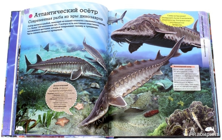 Водное подарочное спецпредложение