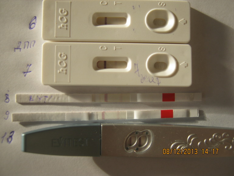 Фото моих тестиков!!!)))