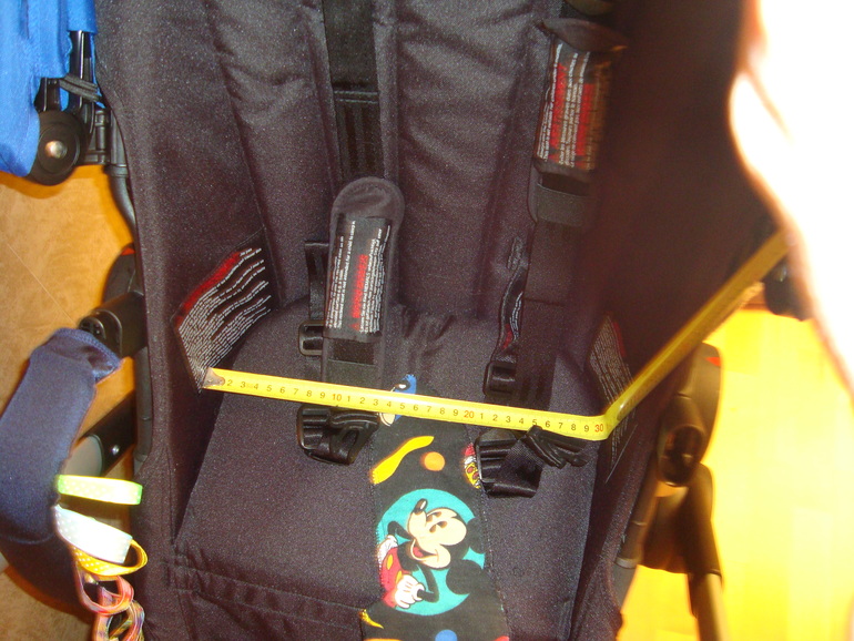 Bugaboo buffalo. Мой отзыв