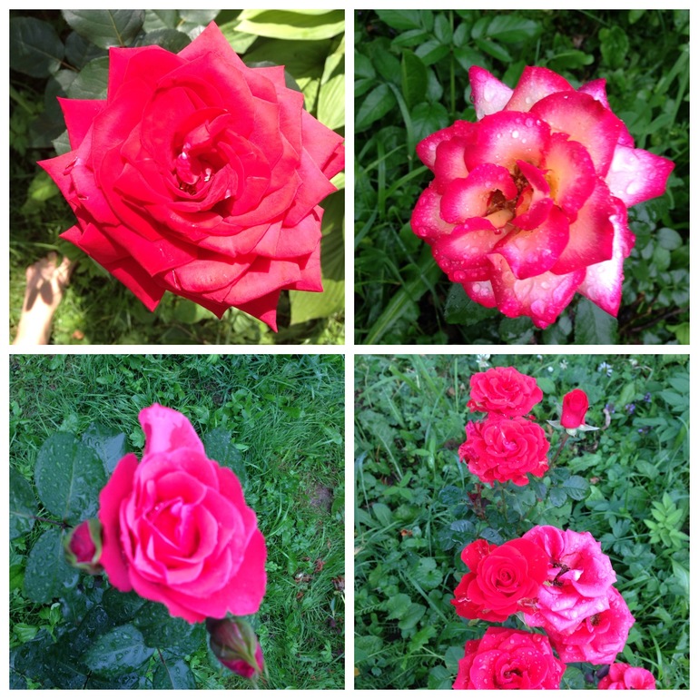 Чем порадовало 2013 лето:))