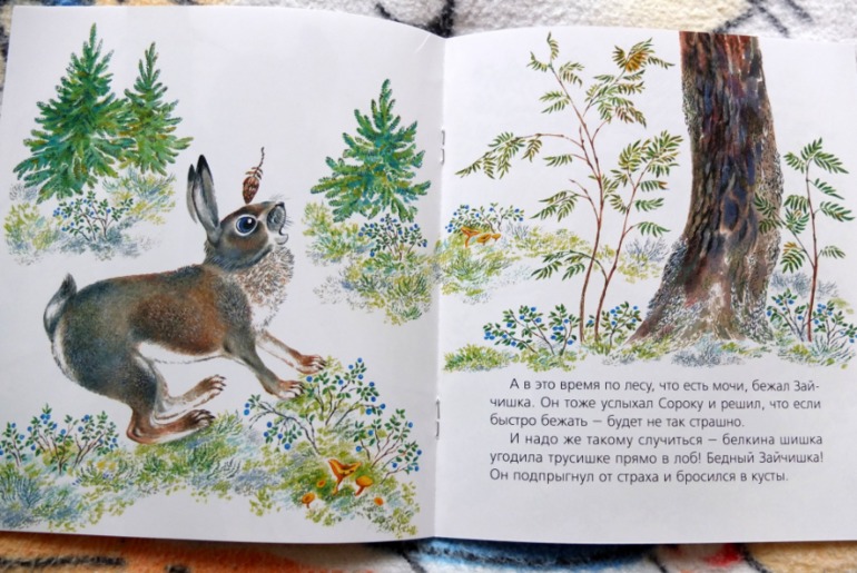 Наши медведи =)