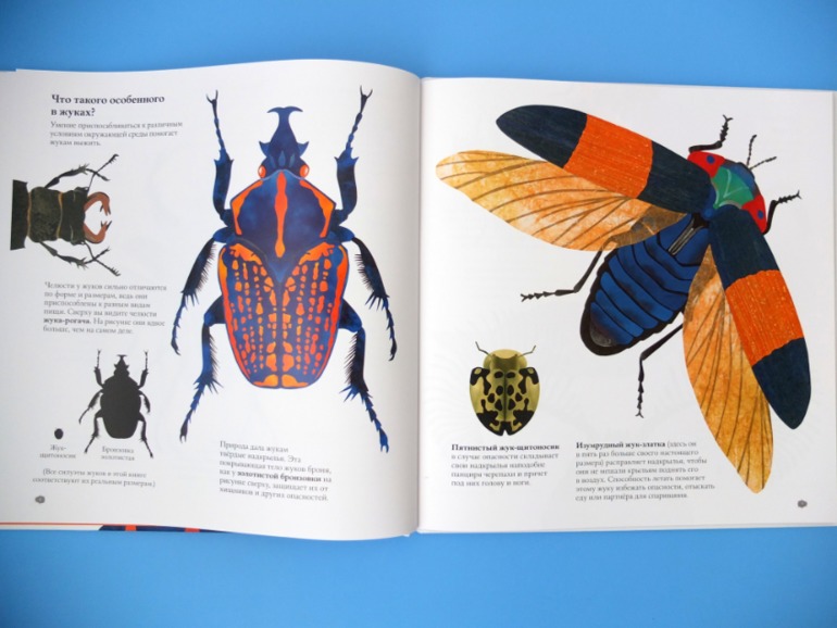 Лотерея № 23: ОТЧЕТ о подарках.