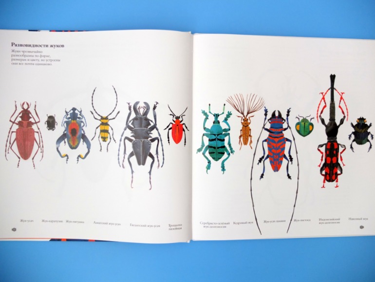 Лотерея № 23: ОТЧЕТ о подарках.