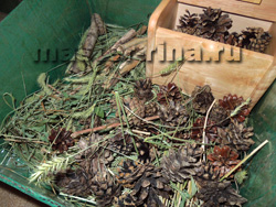 Лесная коробка.