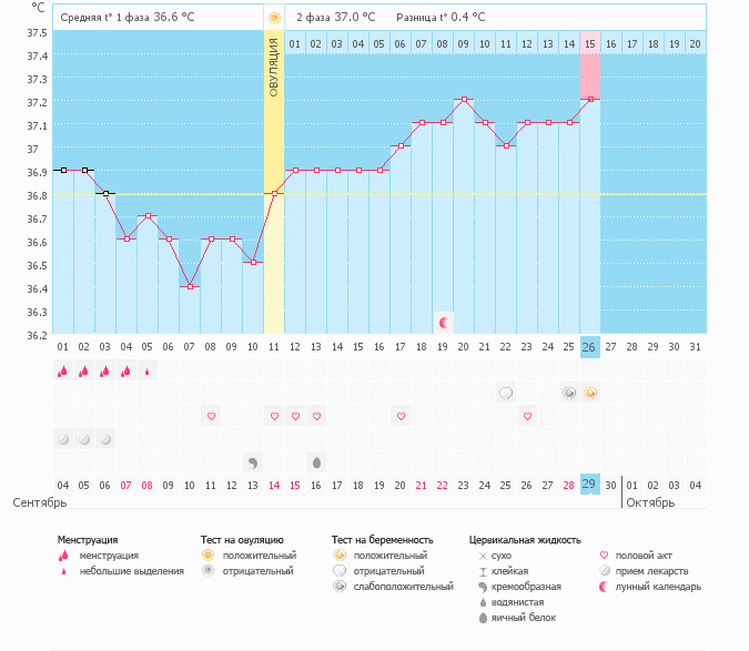 Мой беременный график! Ура!!!