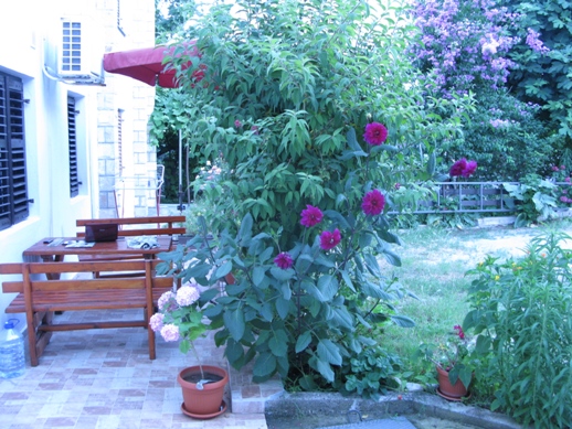 Апартаменты в Будве