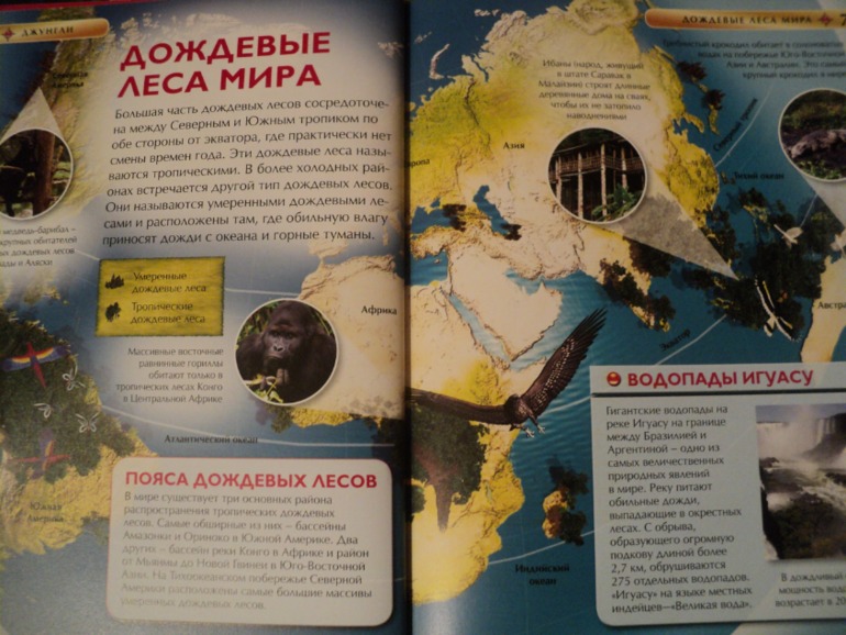 Наши книжки в сентябре.