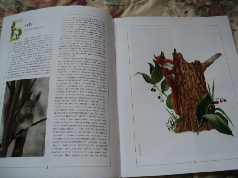 Наши книжки в сентябре.