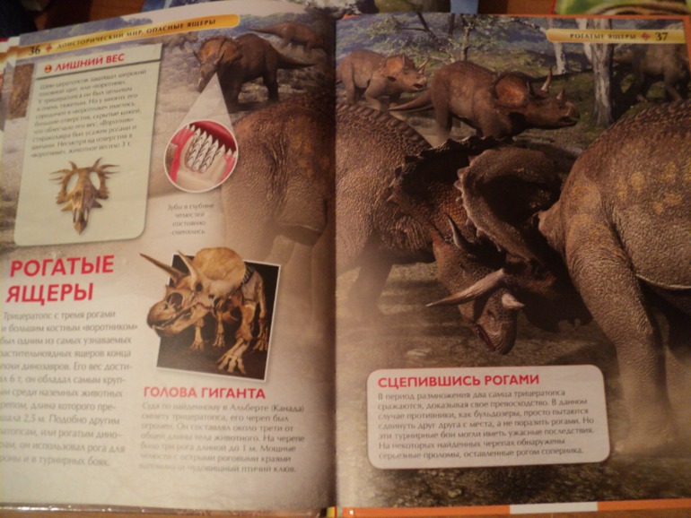 Наши книжки в сентябре.