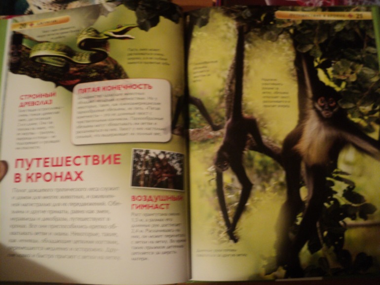 Наши книжки в сентябре.