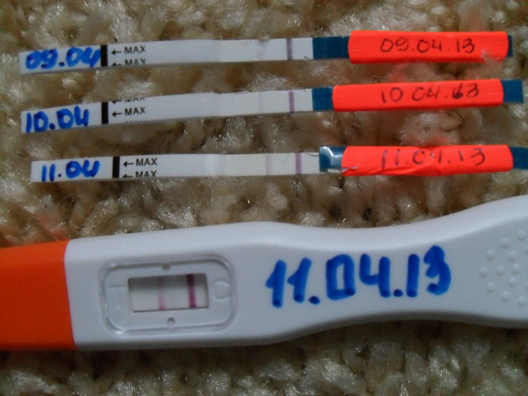 f64dcce31e2f46a0076853ccf06aeced.jpg