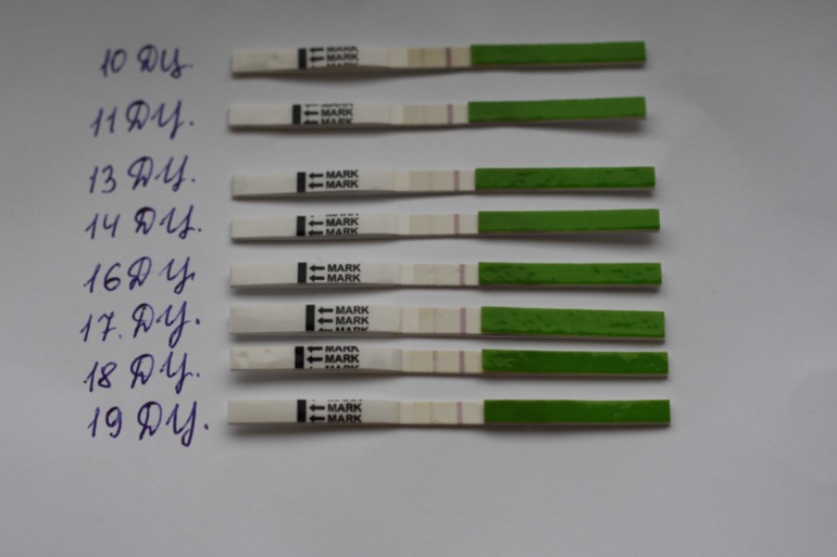 Когда была Овуляция (фото)