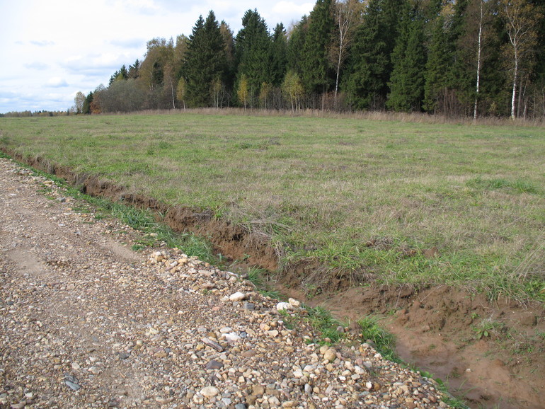 наша история любимой дачи