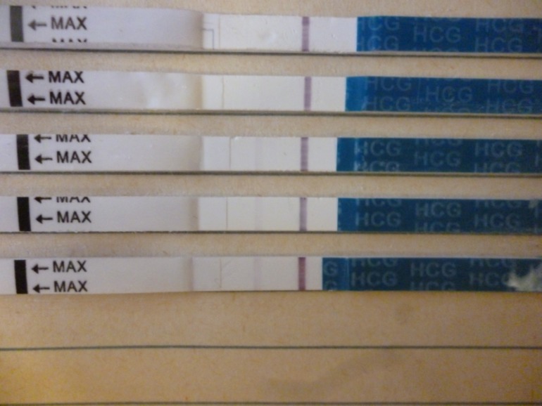 14 дпо,максимальный день Х