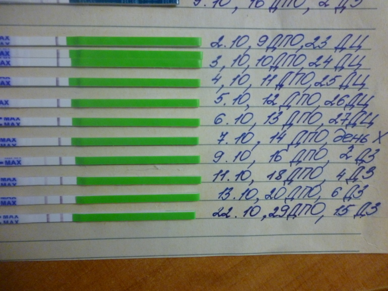 15 ДЗ и 29 ДПО