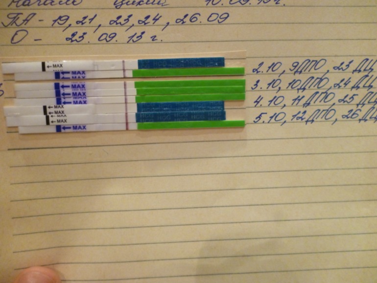 Вчера 80% ваших мнений по тесту