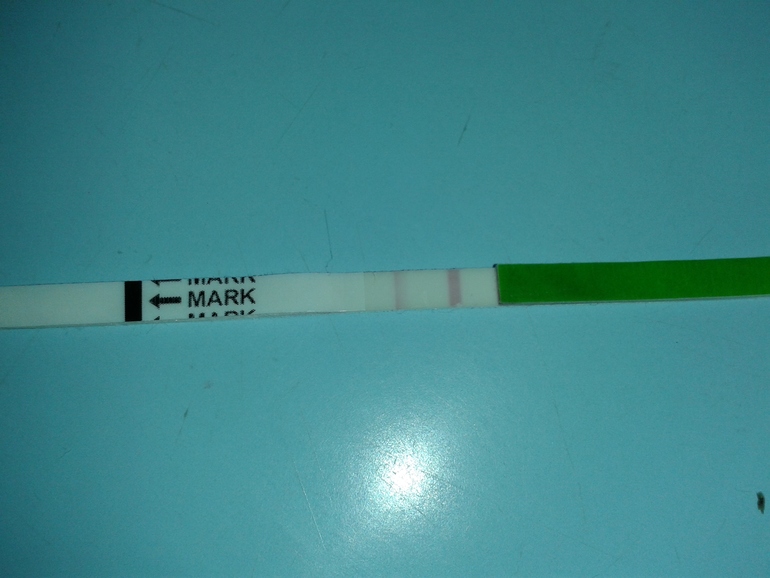 когда ждать овуляцию?