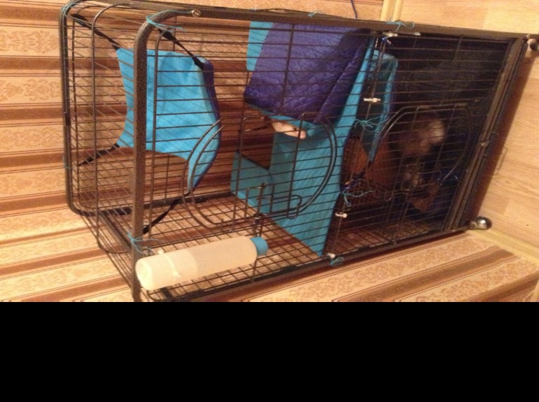 Во сколько оценить работу?