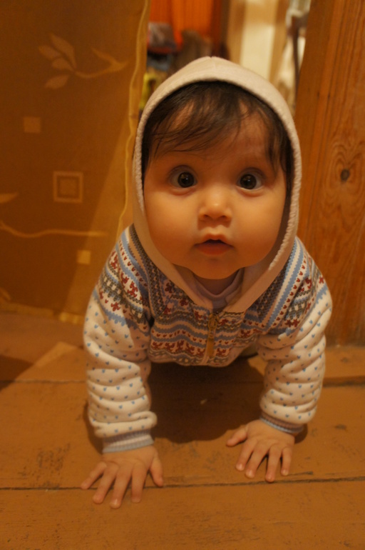 Ищем временное пристанище в Москве!