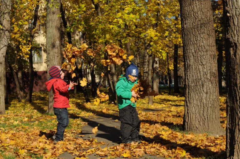 7c4168731574f84dab39f4a889fced66.jpg