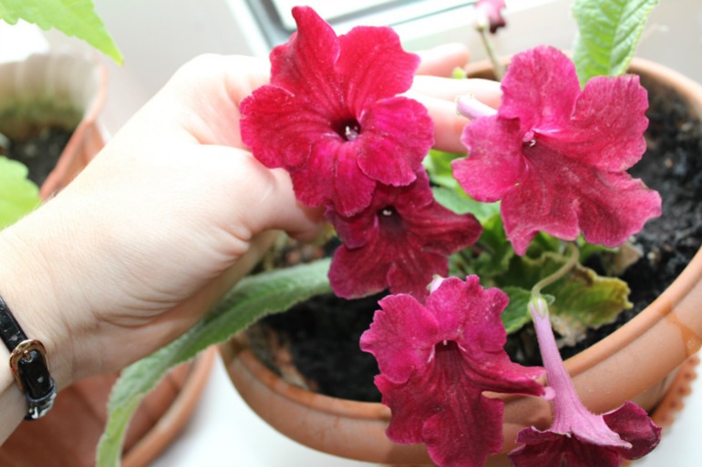 Мой мини РАЙ!