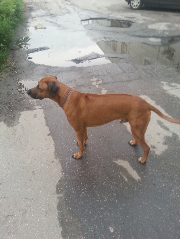 А вот и наше чудо