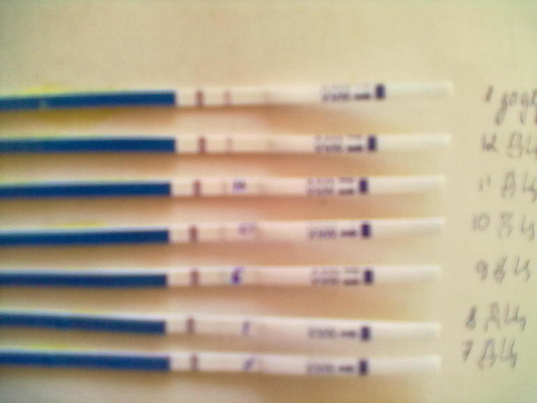 мои тестики!