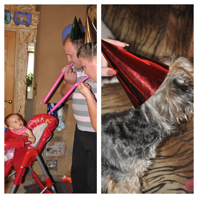 Как мы отметили годик!