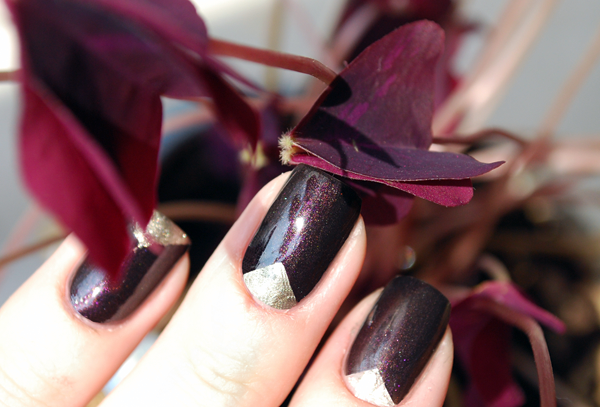 Лаков цвет. Модные цвета лаков это осенью.