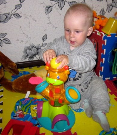 собачья жизнь))))